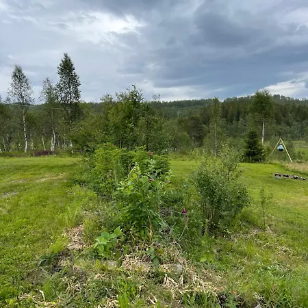 Brygghaugen, Middle Of Senja Villa Exterior photo